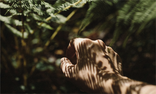 Back to Nature: A Return to Natural Wisdom